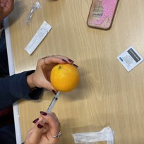 TH Langs Faglinjer 6