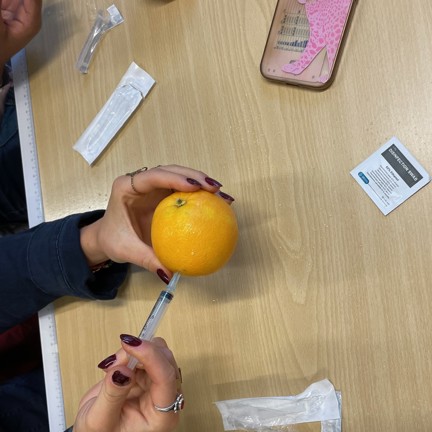 TH Langs Faglinjer 6