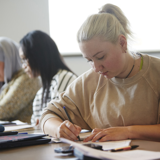 Th Langs Faglighed 9