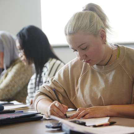 Th Langs Faglighed 9